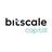 bitscale capital