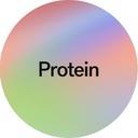 Protein