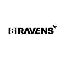 81RAVENS